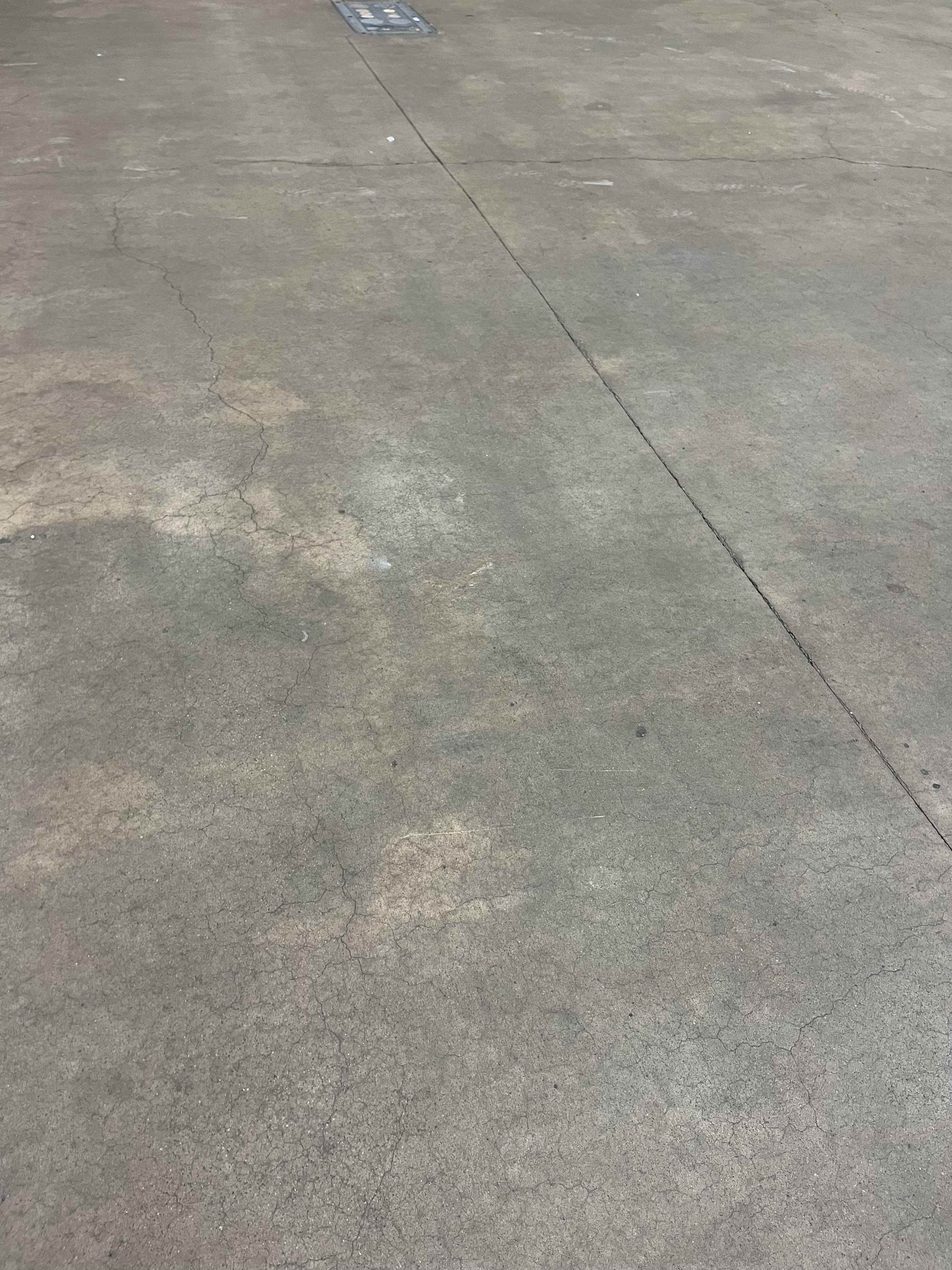 A close-up of gray concrete flooring in the exhibit hall.